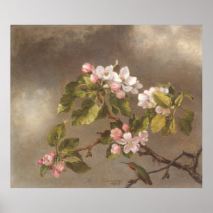 Poster Beija-flor e Flores de Maçã 1875 Cartaz