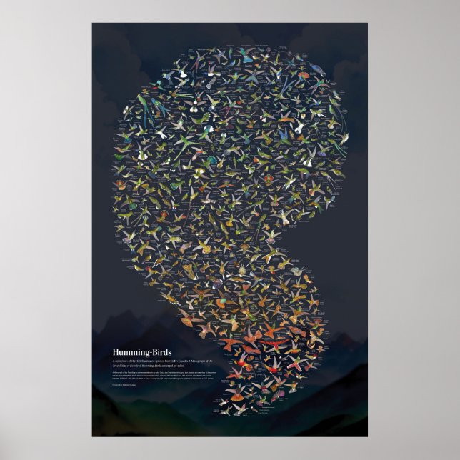 Poster Beija-flores - Escuro (Frente)