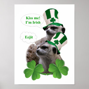 Póster Beije-me, sou um design irlandês de meerkat