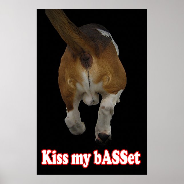 Póster Beije meu bASSet (Frente)