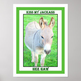 PÓSTER BEIJE MEU JACKASS, HAW DE HEE