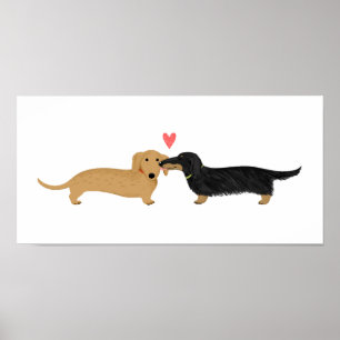 Póster Beijo de Dachshund com Coração