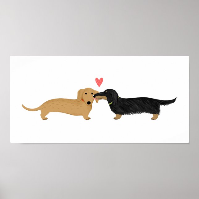 Póster Beijo de Dachshund com Coração (Frente)