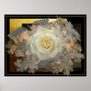 Póster Beijo De Um Rosa