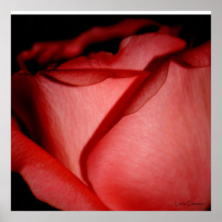 Póster Beijo de Vermelho