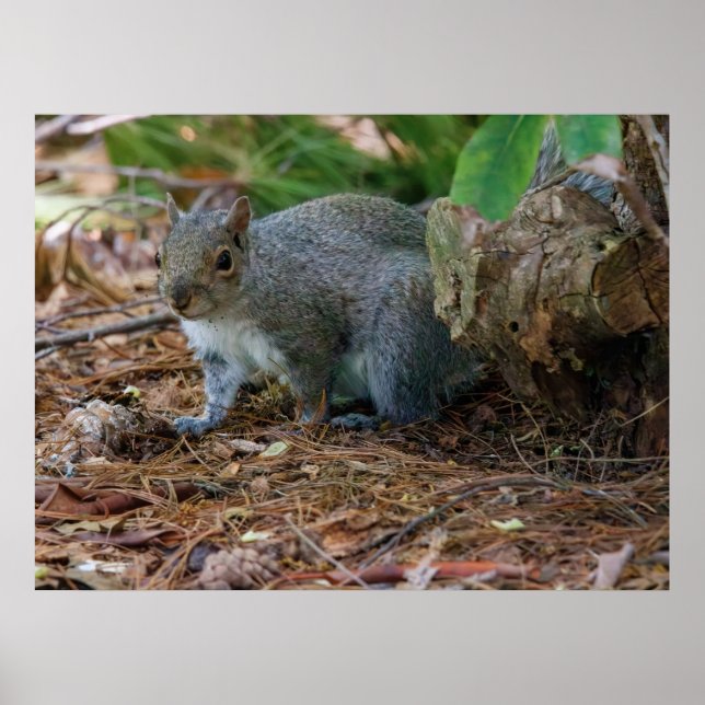 Poster Being Careful (Frente)