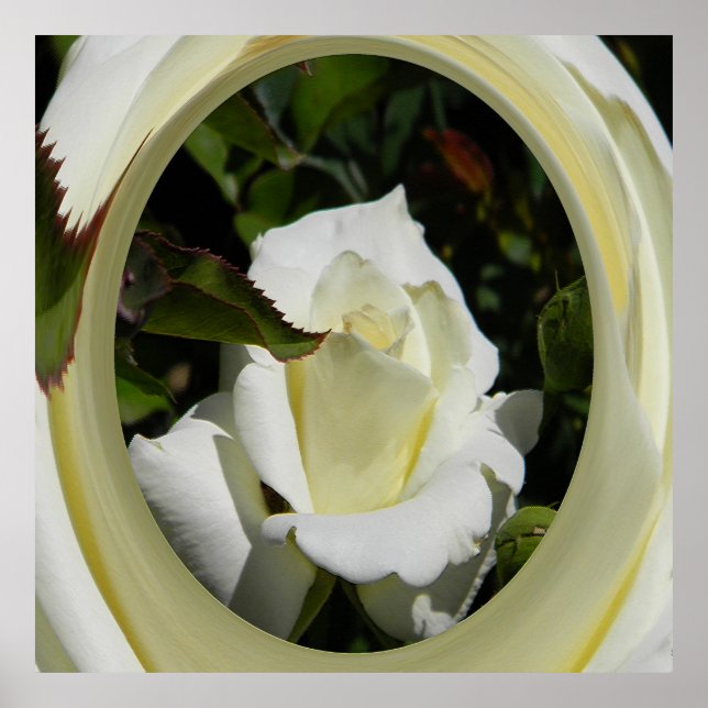 Poster Bela...... (Frente)