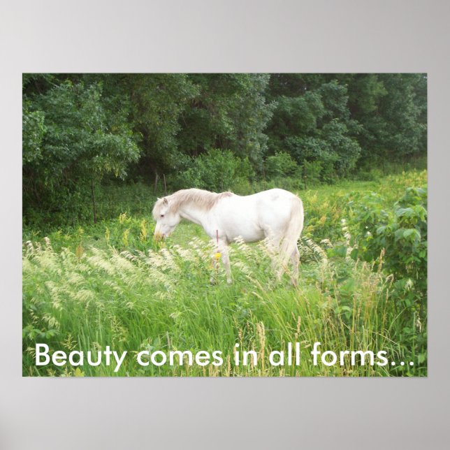 Poster Bela (Frente)