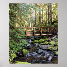 Bela Adormecida // Águas Pacíficas