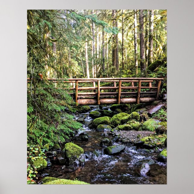 Poster Bela Adormecida // Águas Pacíficas (Frente)