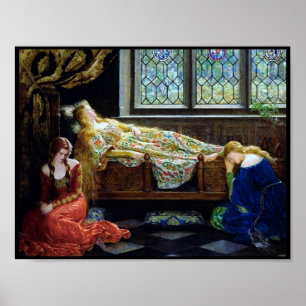 Póster Bela Adormecida e as donzelas