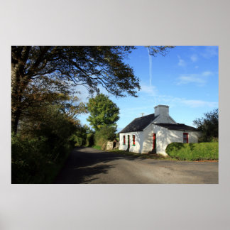 Póster Bela Algodão Irlandês