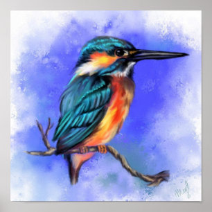 Poster Bela Ave Kingfisher - Arte de Aquarela 