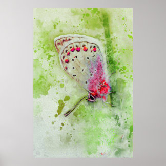 Poster bela borboleta branca em uma pintura de caule