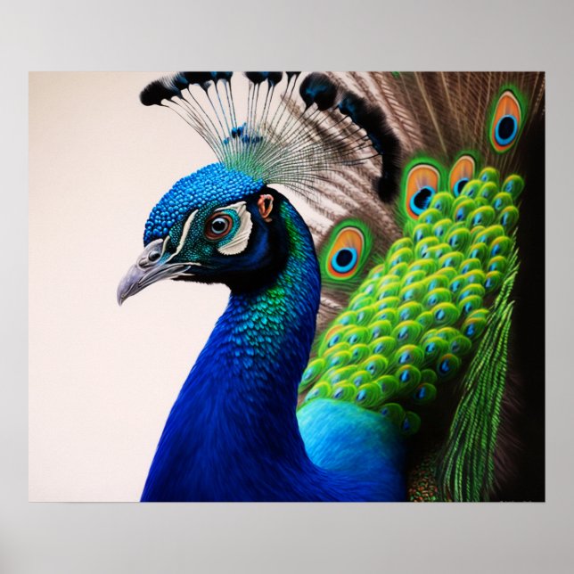 Poster Bela Colorida Peacock Peafowl Bird Willife P (Frente)