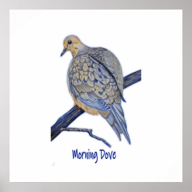 Poster Bela Dove Morning Perecida em uma Arte Branqueada (Frente)