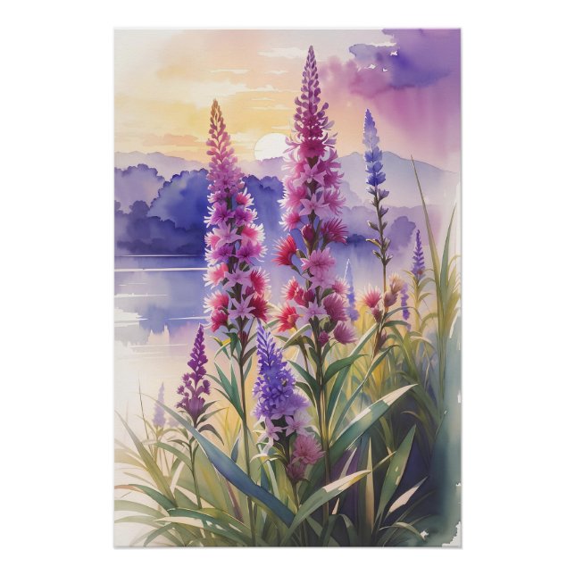 Póster Bela estrela brilhante (Frente)