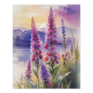 Póster Bela estrela brilhante