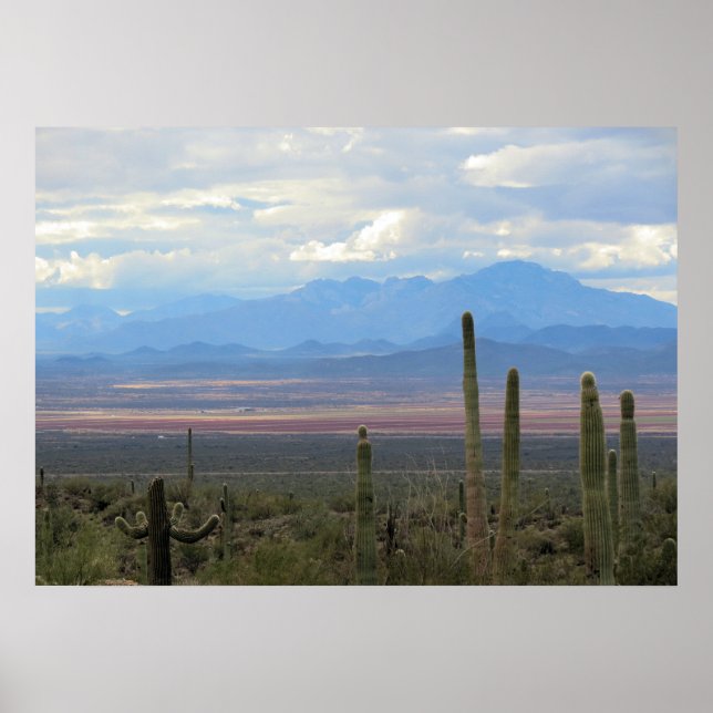 Póster Bela paisagem de Arizona (Frente)