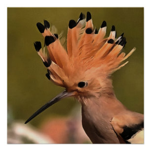 Póster Bela Pássaro Hoopolista Com Coroa De Penas