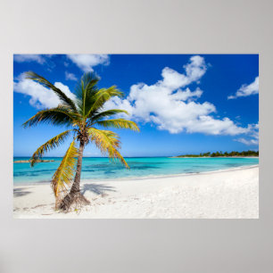 Poster Bela praia de Caribe