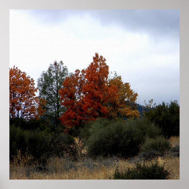 Poster Bela queda.... (Frente)