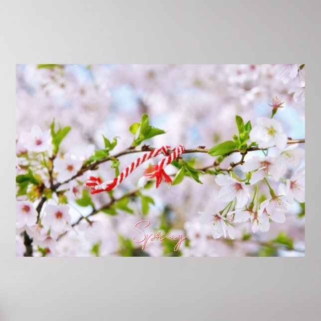 Poster Bela saudação de primavera (Frente)