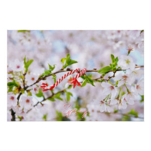 Póster Bela saudação de primavera
