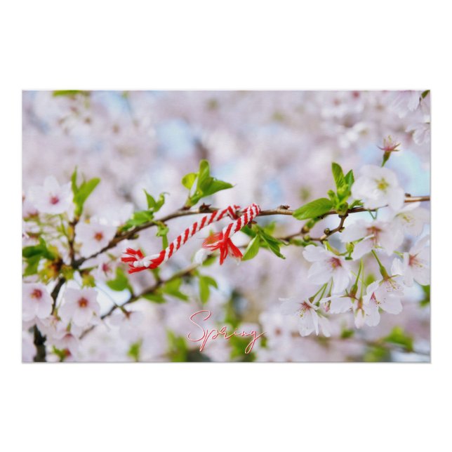 Póster Bela saudação de primavera (Frente)