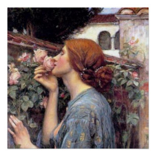 Póster Belas artes a alma do poster do rosa