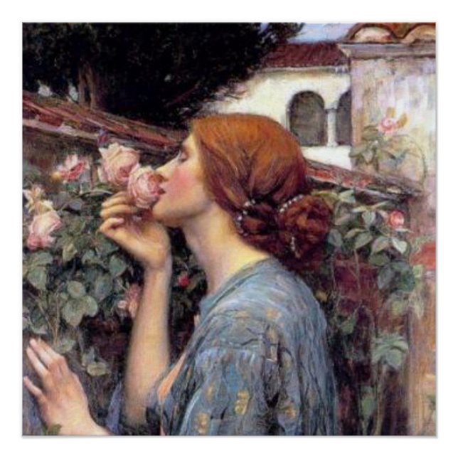 Póster Belas Artes A Alma do Rosa Poster (Frente)