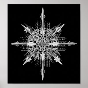 Poster Belas artes de Ernst Haeckel do miranda de