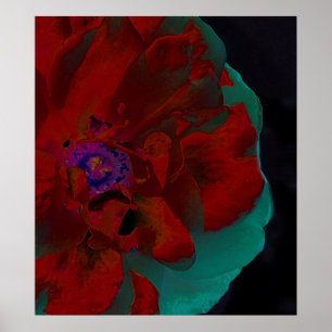Poster Belas artes florais