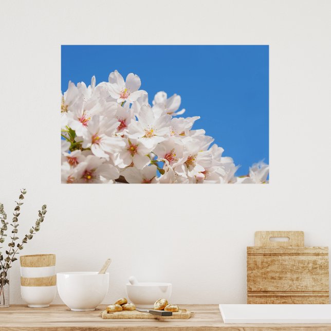 Poster Belas flores de primavera (Cozinha)