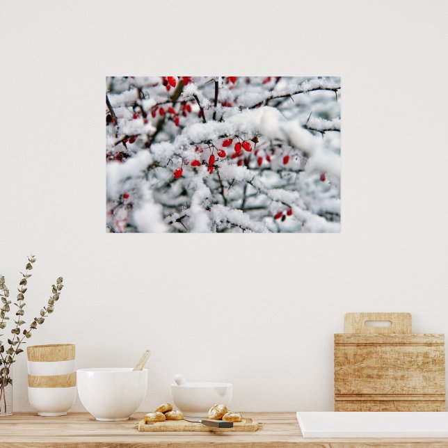 Poster Belas frutas vermelhas e neve (Cozinha)