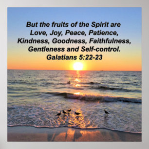 POSTER BELAS GALÁCIAS 5 SUNRISS