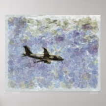 Beleza Acima... Jato No Céu.