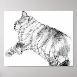 Póster Beleza adormecida