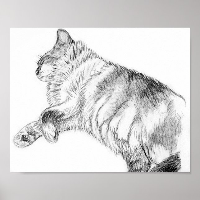 Póster Beleza adormecida (Frente)