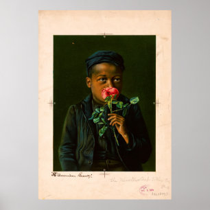 Poster Beleza Americana (1895)