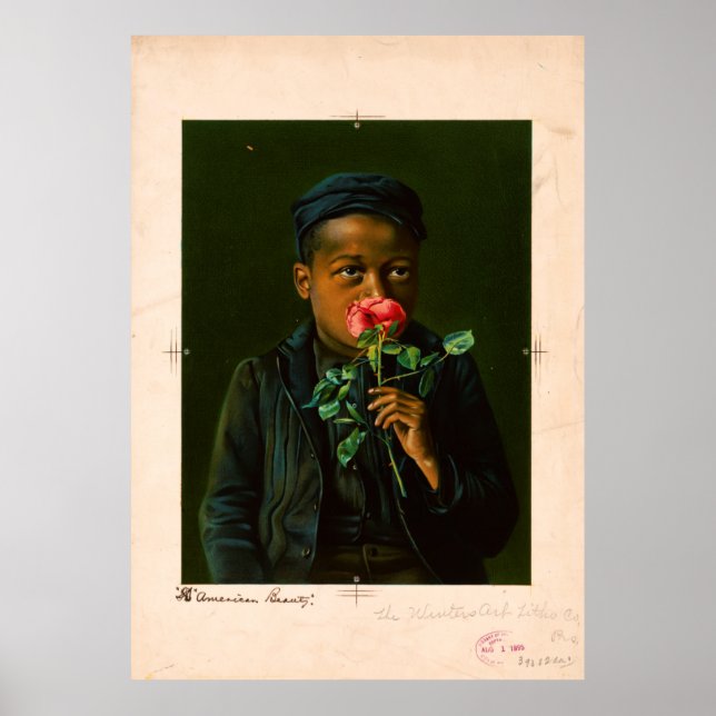 Poster Beleza Americana (1895) (Frente)