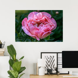 Poster Beleza Canadiana, Pensão Rosa Floral