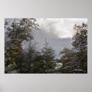 Póster Beleza cinzenta do dia