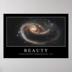 Poster Beleza: Citações inspiradas 3