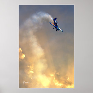 Poster Beleza da guarda de ar