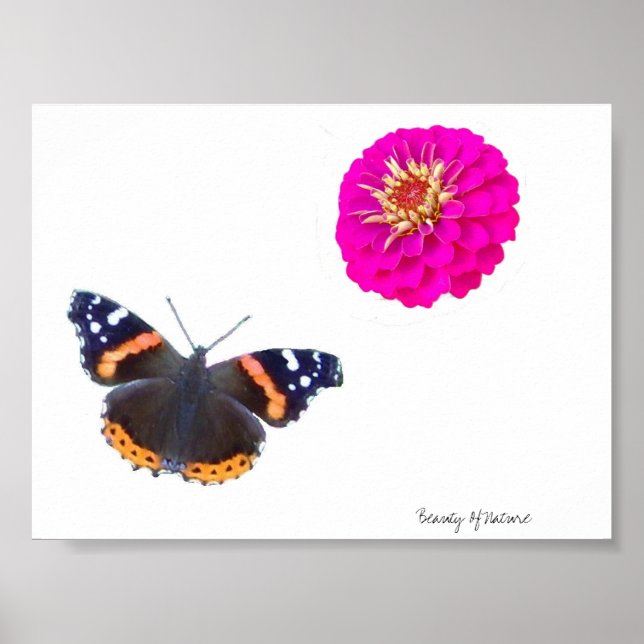 Poster Beleza Da Natureza (Frente)