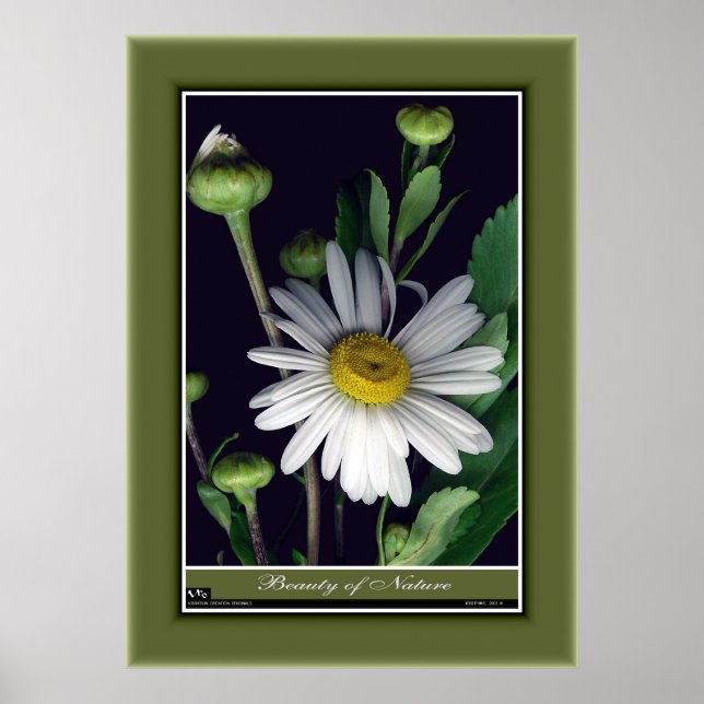 Póster Beleza da Natureza r/p12 (Frente)