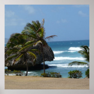 Póster Beleza de Barbados