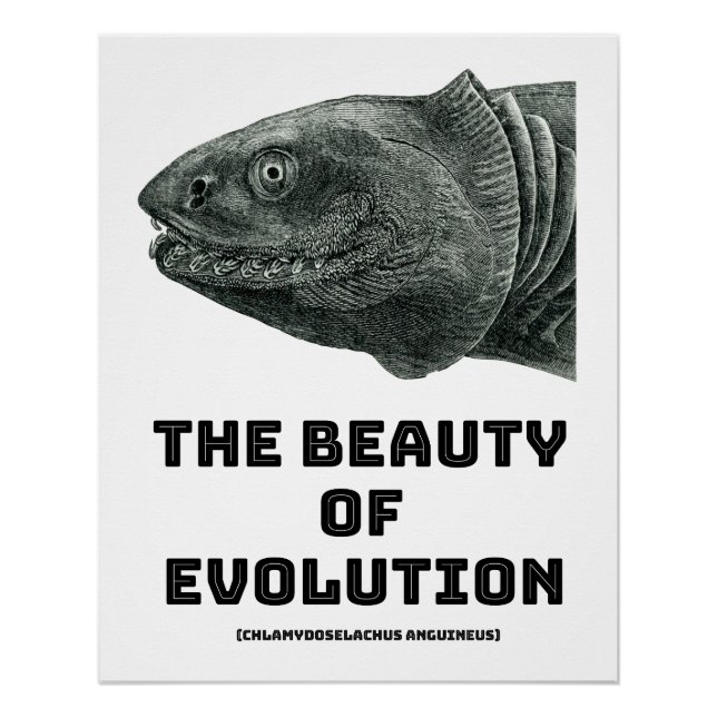 Póster Beleza de Tubarão de Evolução (Frente)