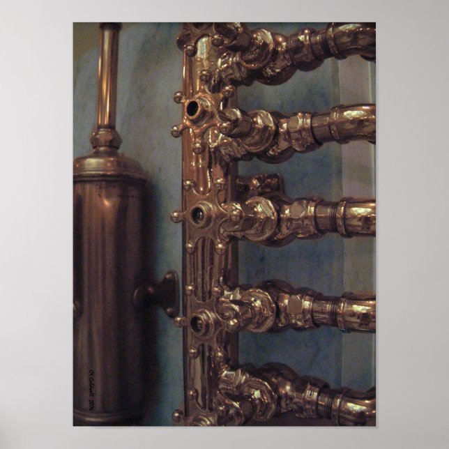 Poster Beleza do cobre (Frente)